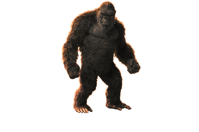 泰坦霸主·金刚