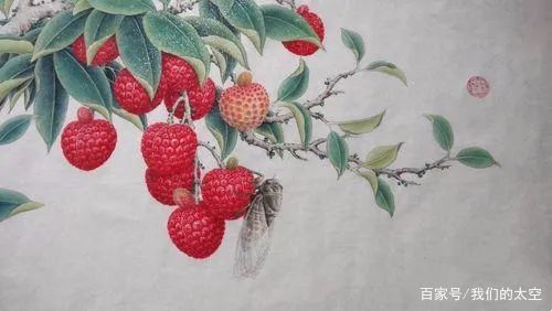 夏日食话——荔枝表示很自豪：原来这么多文人墨客都迷我……_百科TA说