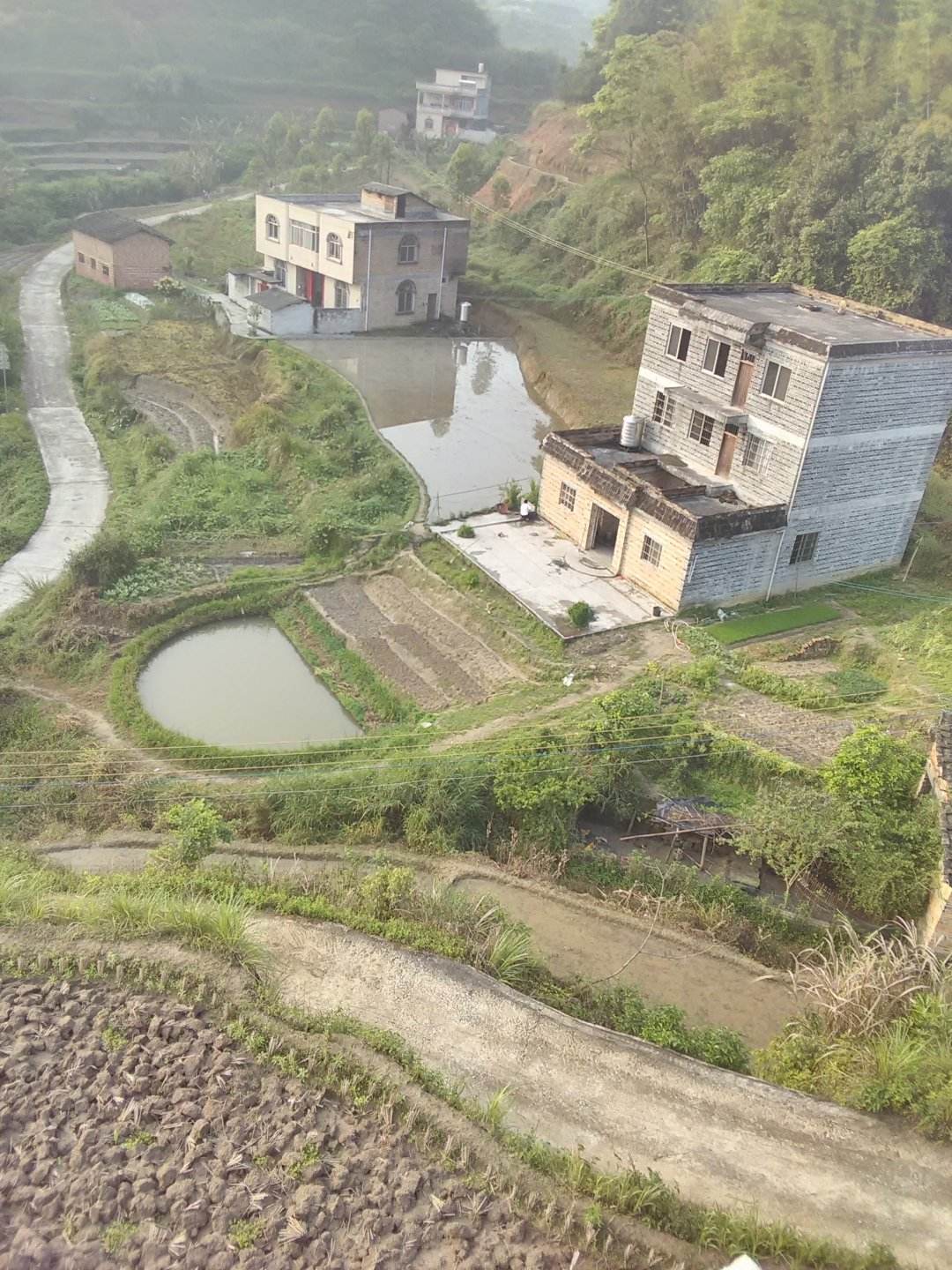  p data-id="gnxbbr703p">罗秀镇,隶属于广西壮族自治区贵港市桂平市