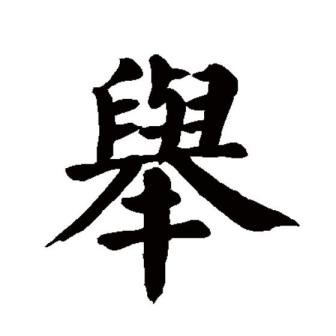 举（汉语文字）_百度百科