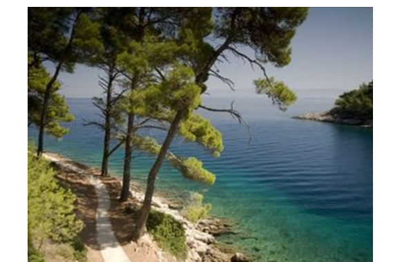  p>阿森松岛(ascension island)是位于南 a target="_blank" href="