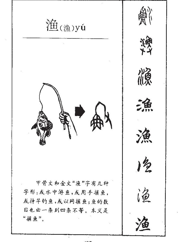 此字始见于商代甲骨文及商代金文,其古字形像用手捕鱼,或像水中游鱼