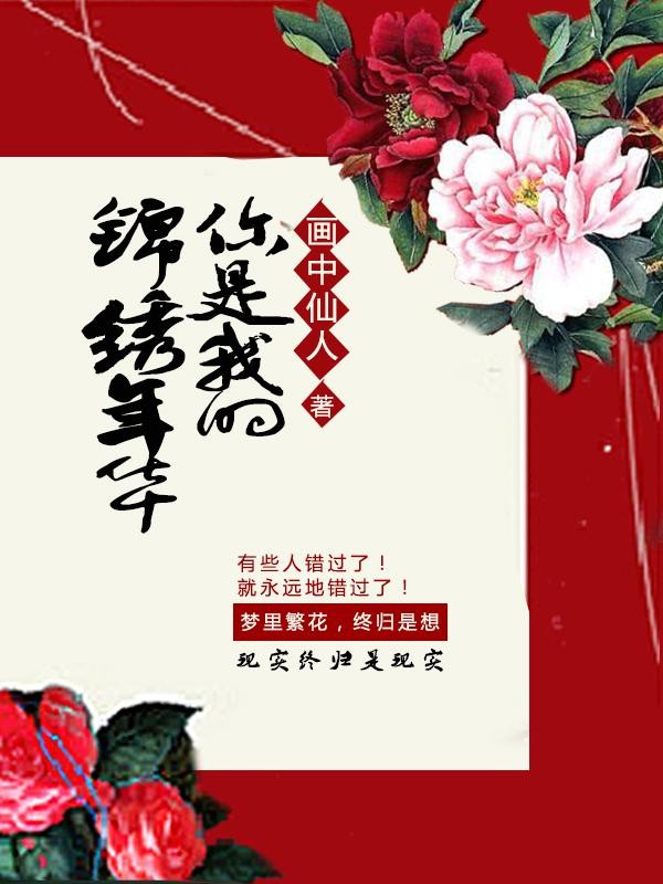 你是我的锦绣年华