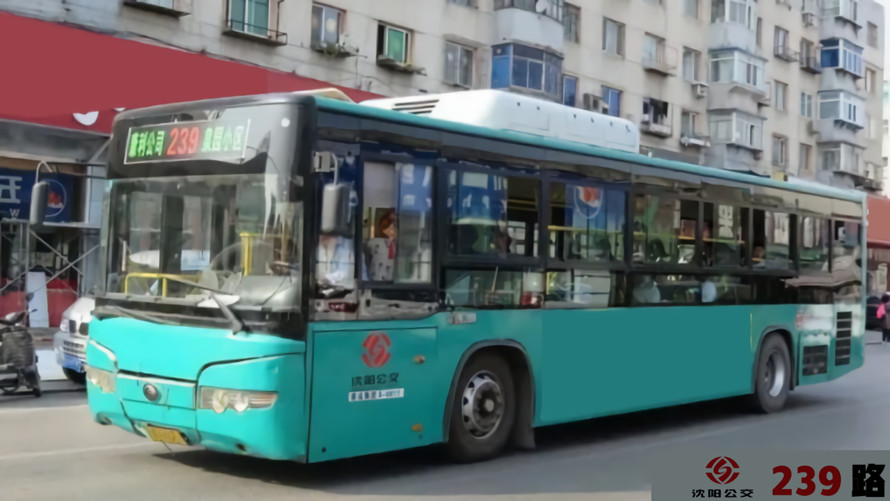 沈阳公交239路