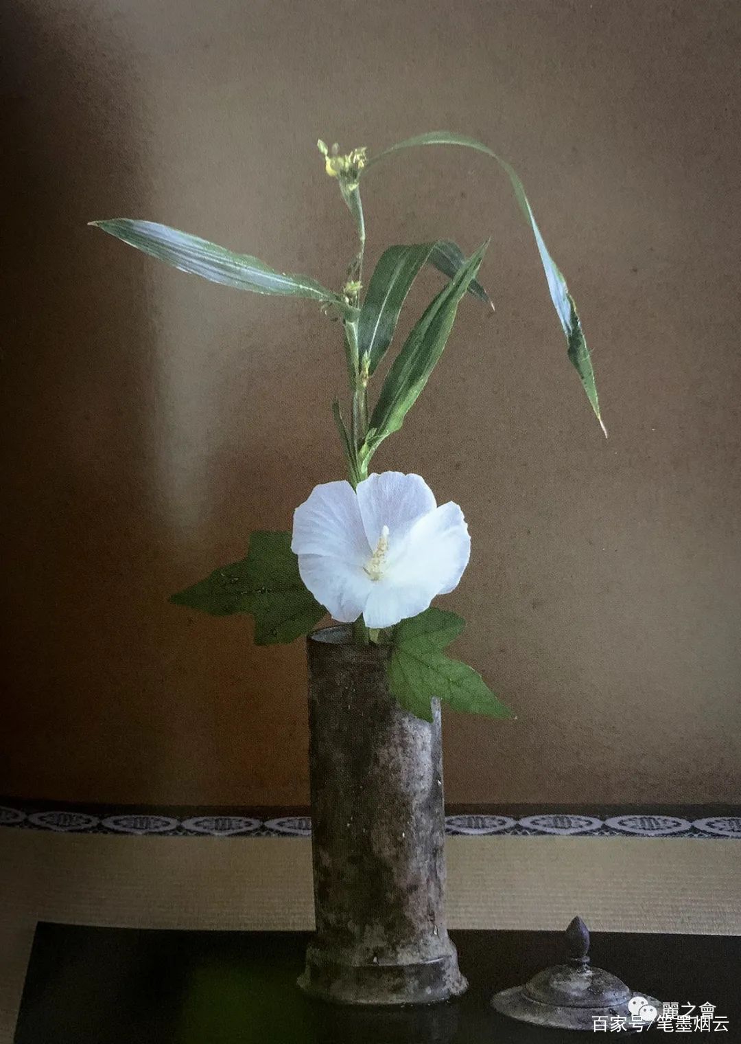 日本茶道与花 百科ta说