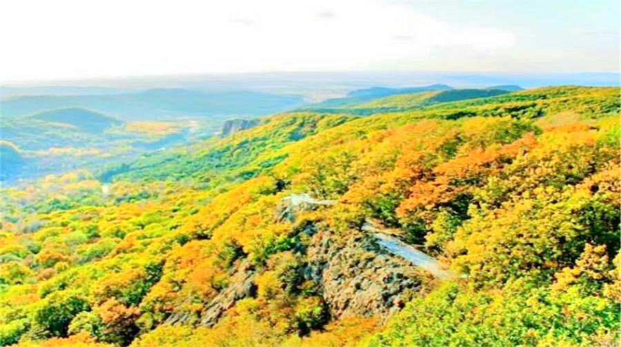  p>壹台山骆驼峰景区位于哈尔滨市巴彦县龙泉镇福乡村 /p>
