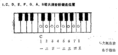 电子琴音调对照表 - 知晓星球