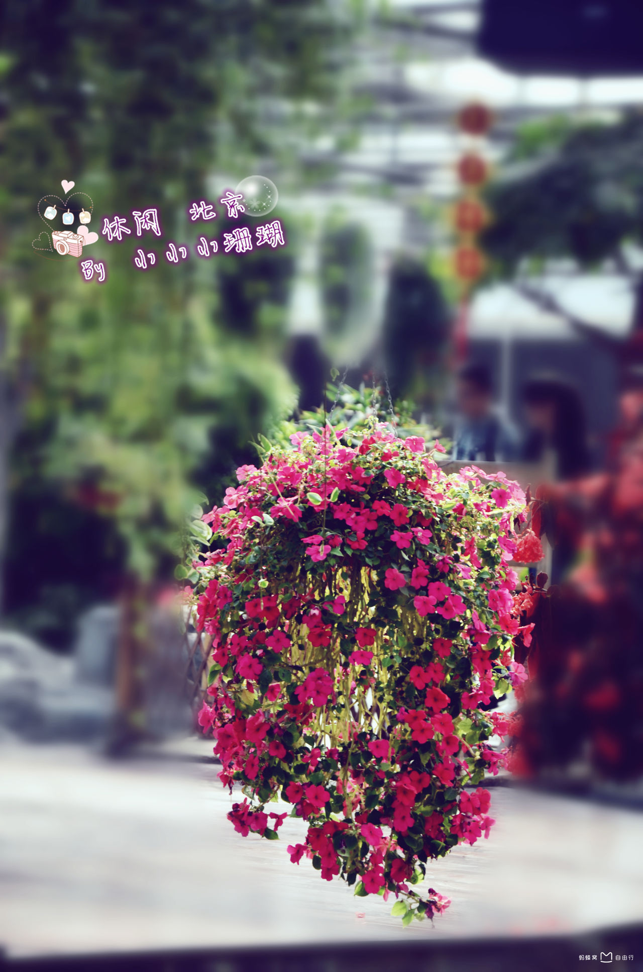  p>世界花卉大观园位于北京南四环辅路北侧, a target="_blank" href=