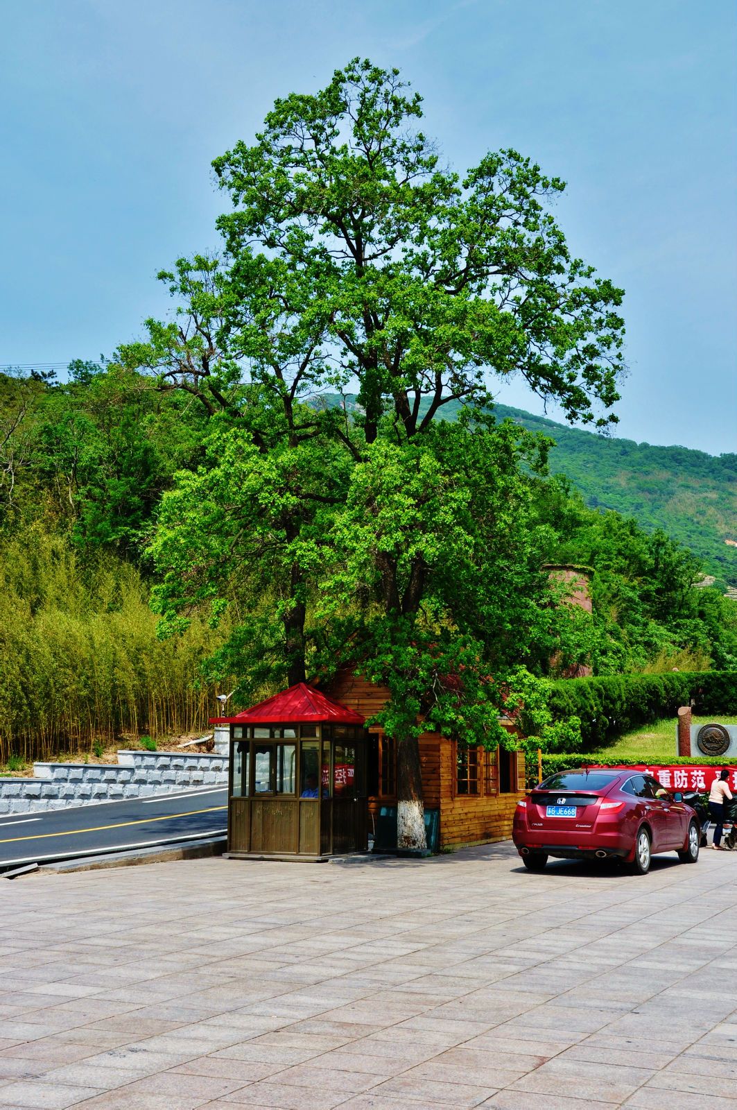  p data-id="t6ifvg3duuov">花果山,位于江苏省 a target="_blank"