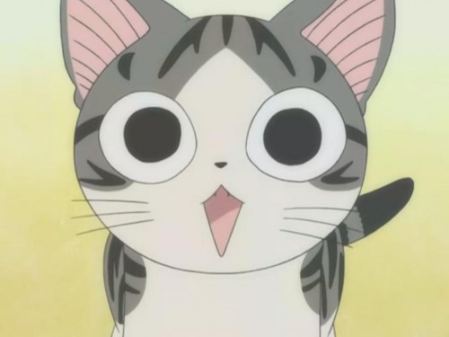  p>原名为"chis sweet home"的私房猫,是日本超人气全彩漫画《chis