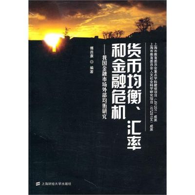 货币均衡,汇率和金融危机