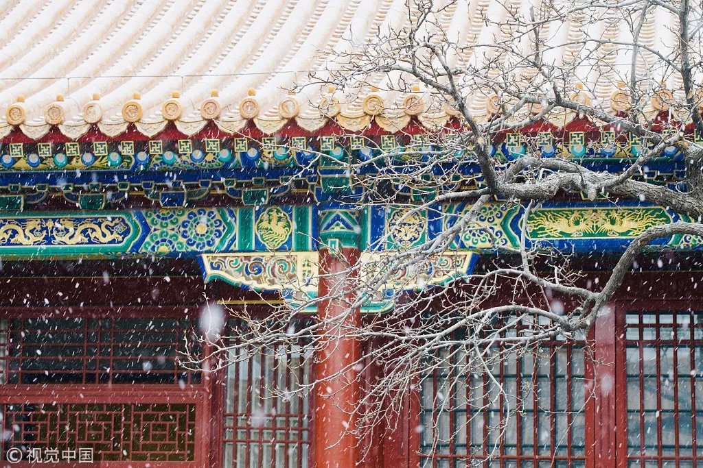 故宫背后的“网红大爷”：走遍9371间房，让600年故宫惊艳全世界_百科TA说