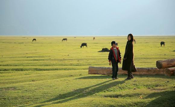 p>《这儿是香格里拉》是由 a href="#" data-lemmaid="7116968">丁乃