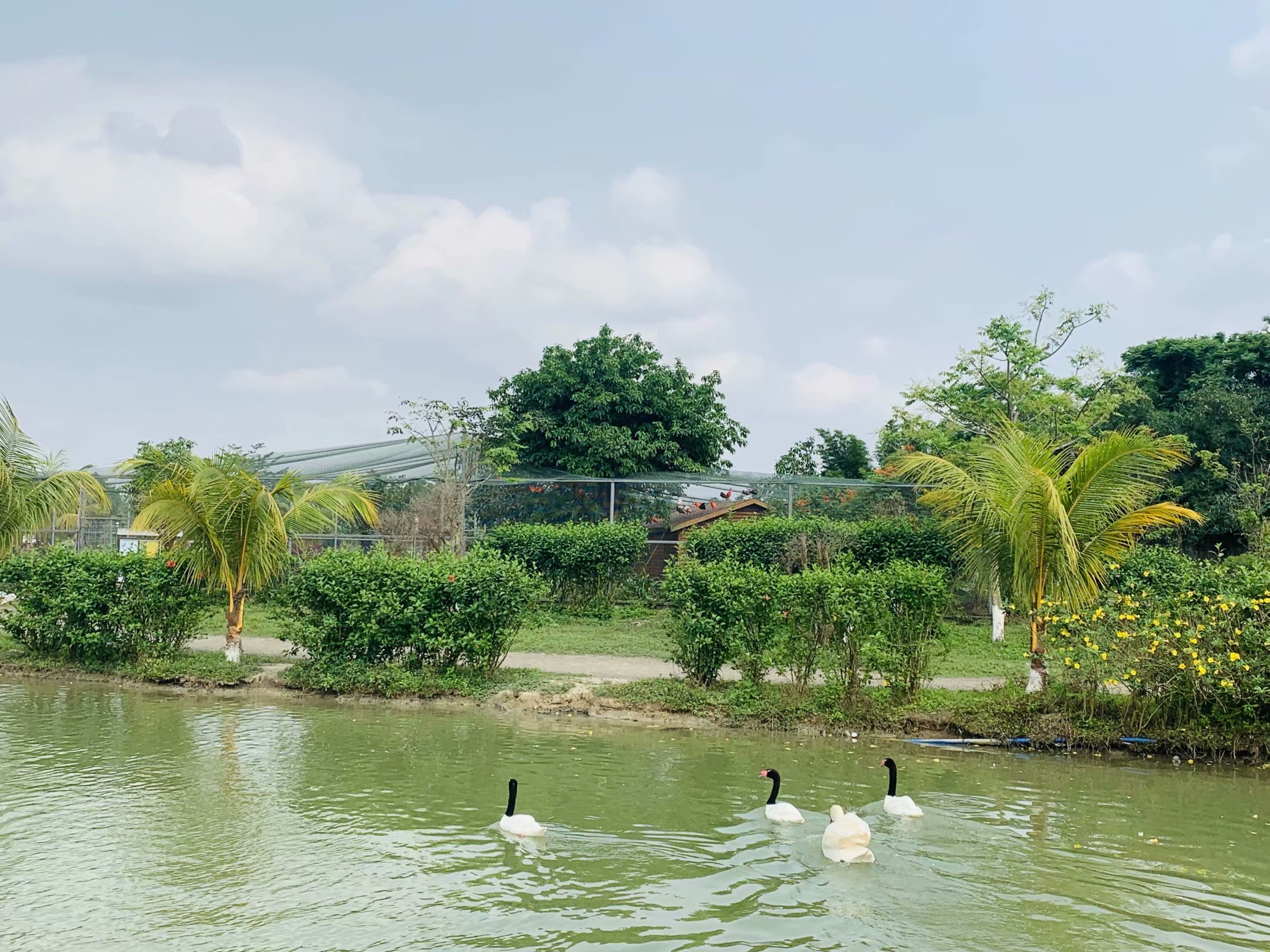 海南东山湖热带野生动植物园