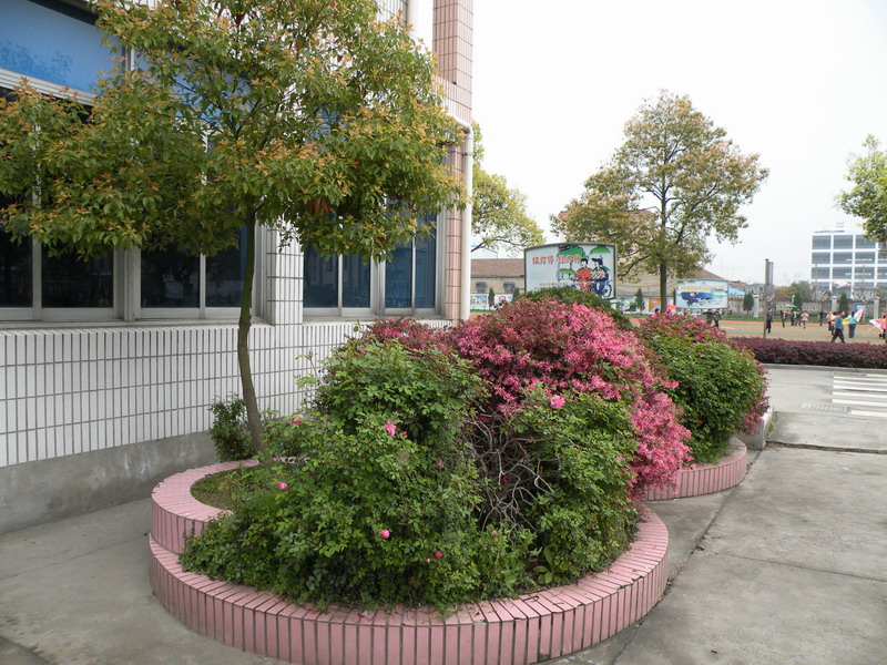 萧山区城东小学