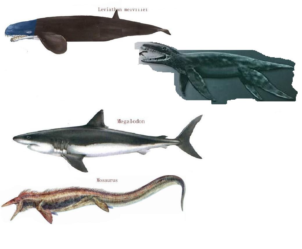  p> b>达克龙 /b>(学名: i>dakosaurus /i>)