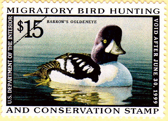  p>美国鸭票(the federal duck stamp):美国联邦的 a href="#" data