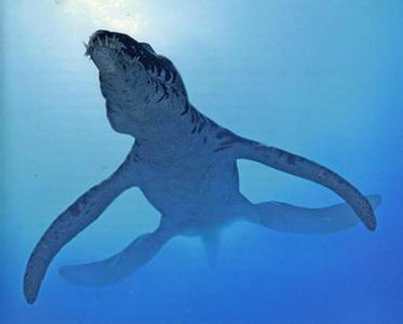 pliosaurus