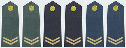  p>上等兵是军队里的军衔,属于士兵的一级,高于 a target="_blank"