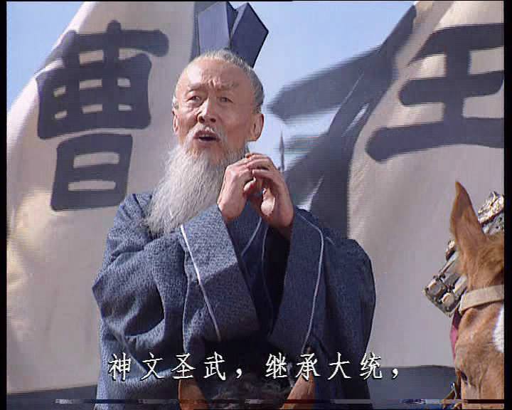 228年),本名王严,字景兴.