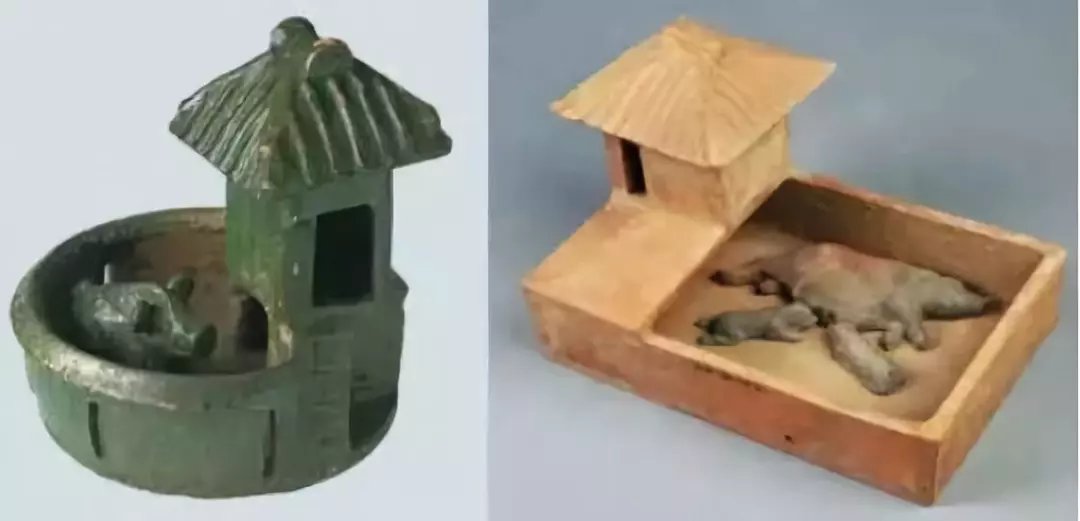 早期西方殖民者为何在沿海抢猪远多于抢钱？_百科TA说