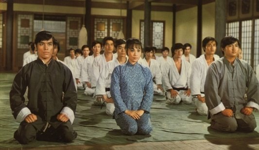 合气道hapkido(1972)