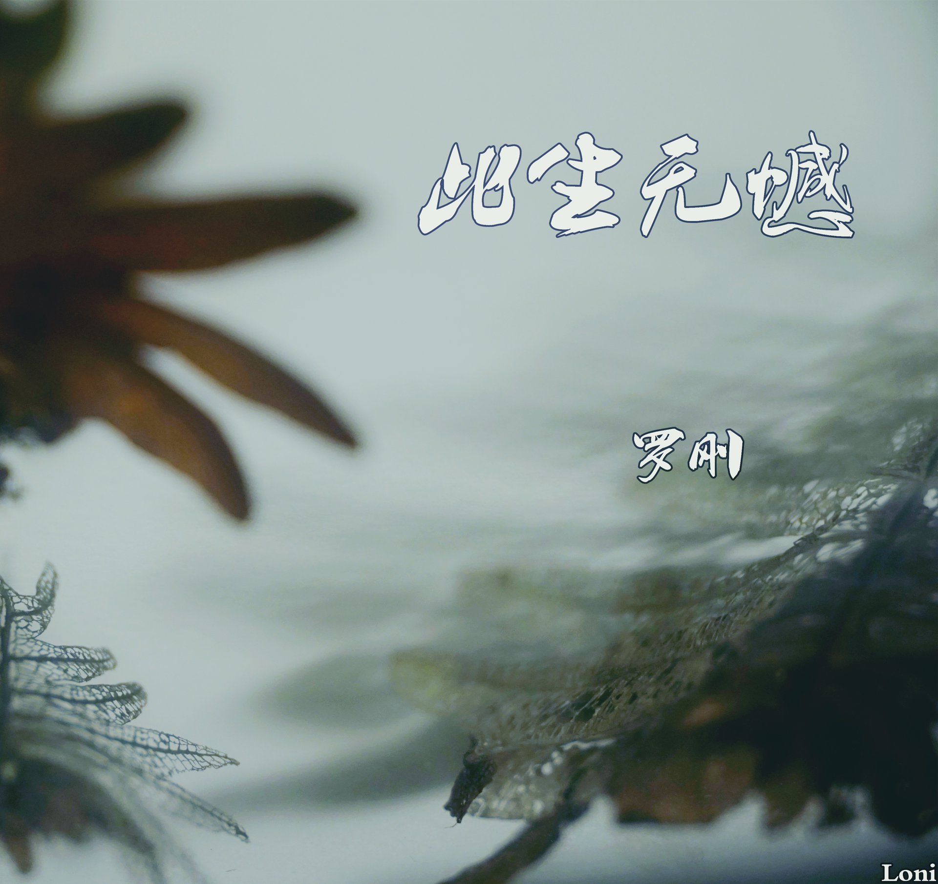此生无憾