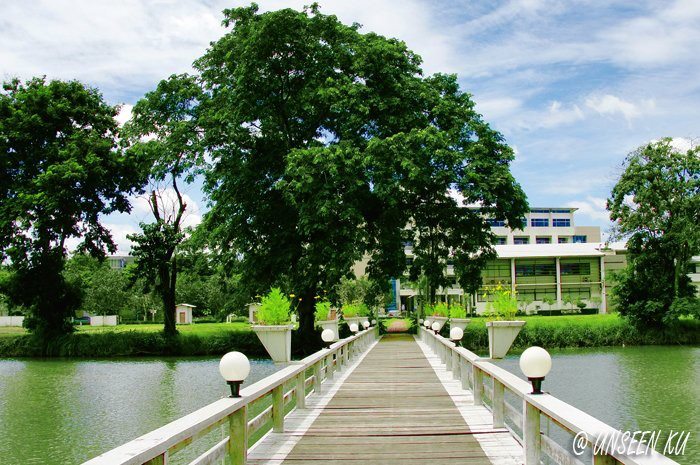  p>泰国农业大学(泰语:                     