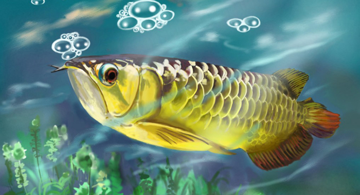 pez lengüihueso malayo