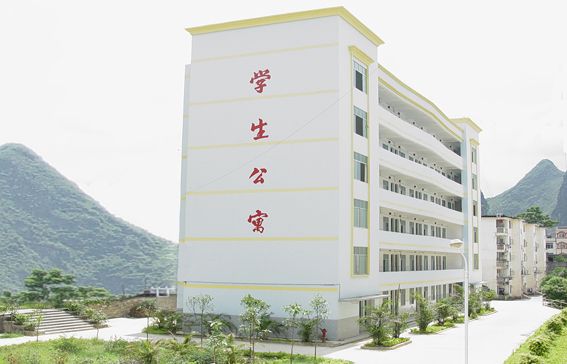 大化二中