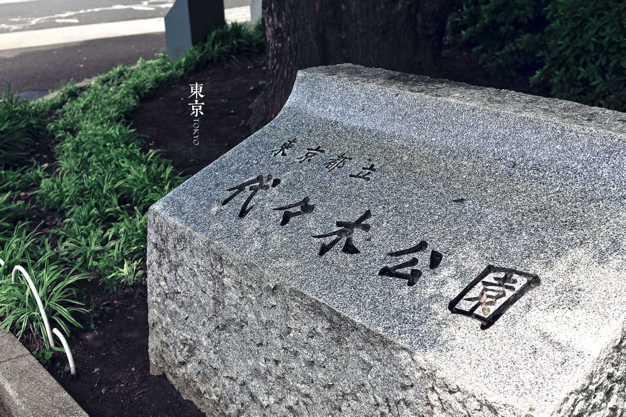 东京代代木公园