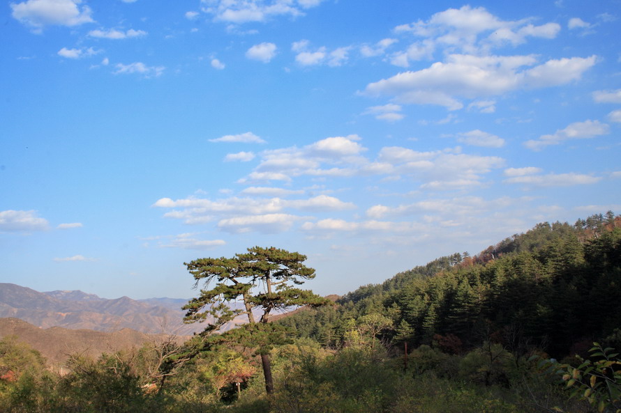  p>金阁山位于河北省张家口市 a target="_blank" href="/item/赤城县