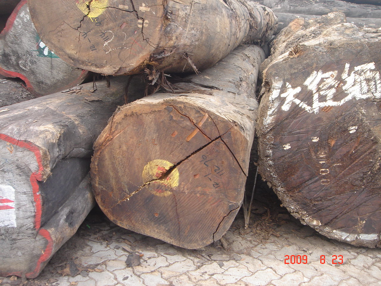  p>缅茄木,俗称:成复台,原产于加蓬,莫桑比克的优质木材,是船舶,高级