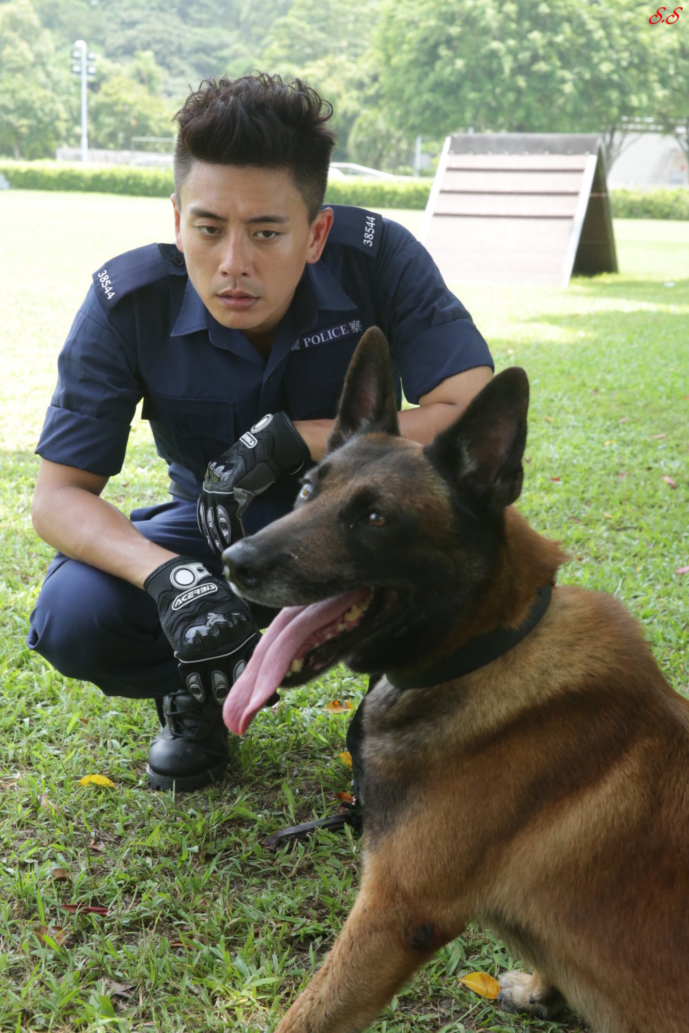 警犬巴打