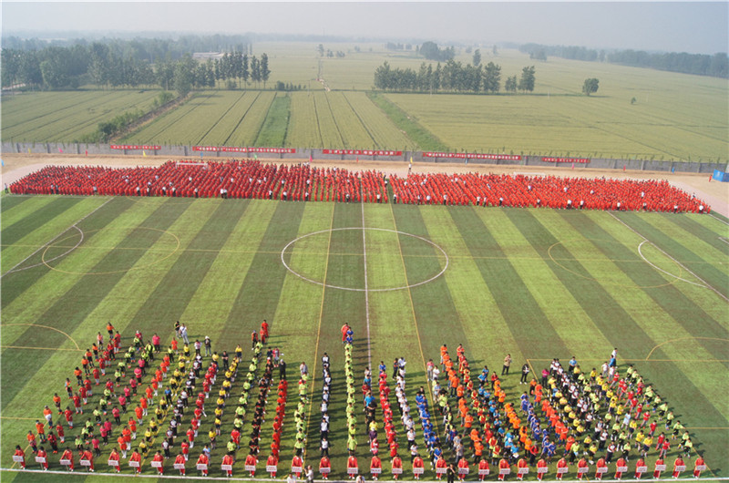  p> a href="#" data-lemmaid="8784722">聊城市少林武院 /a>(全称: a