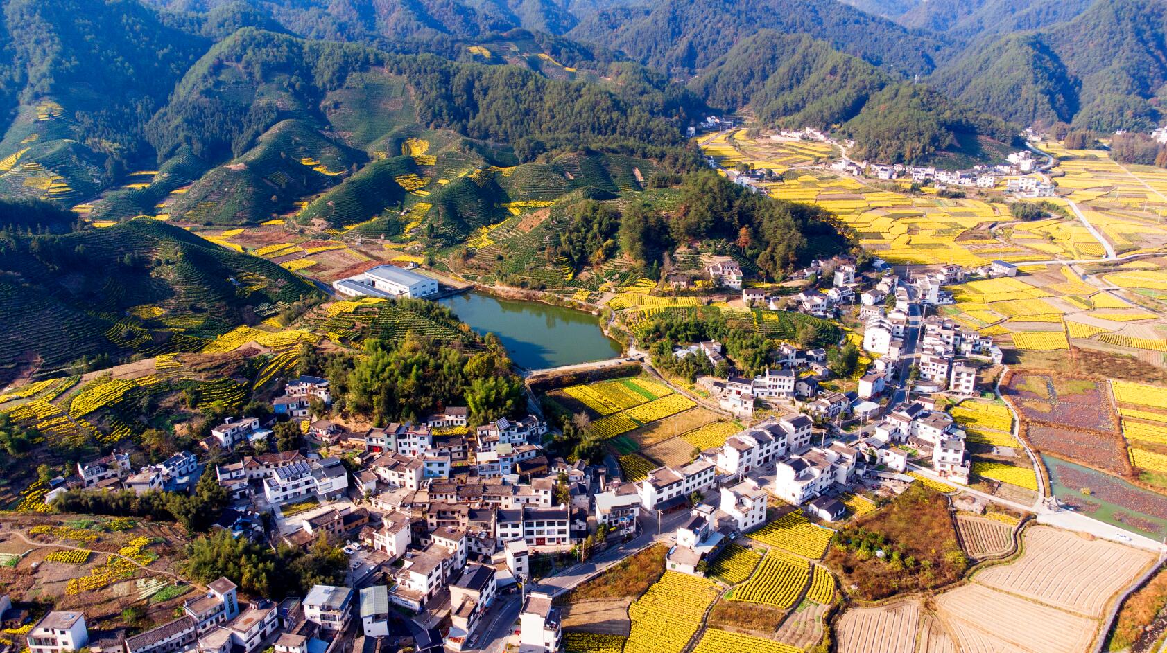  p>歙县溪头镇桃源村位于歙县东北部,2008年由于 a target="_blank"