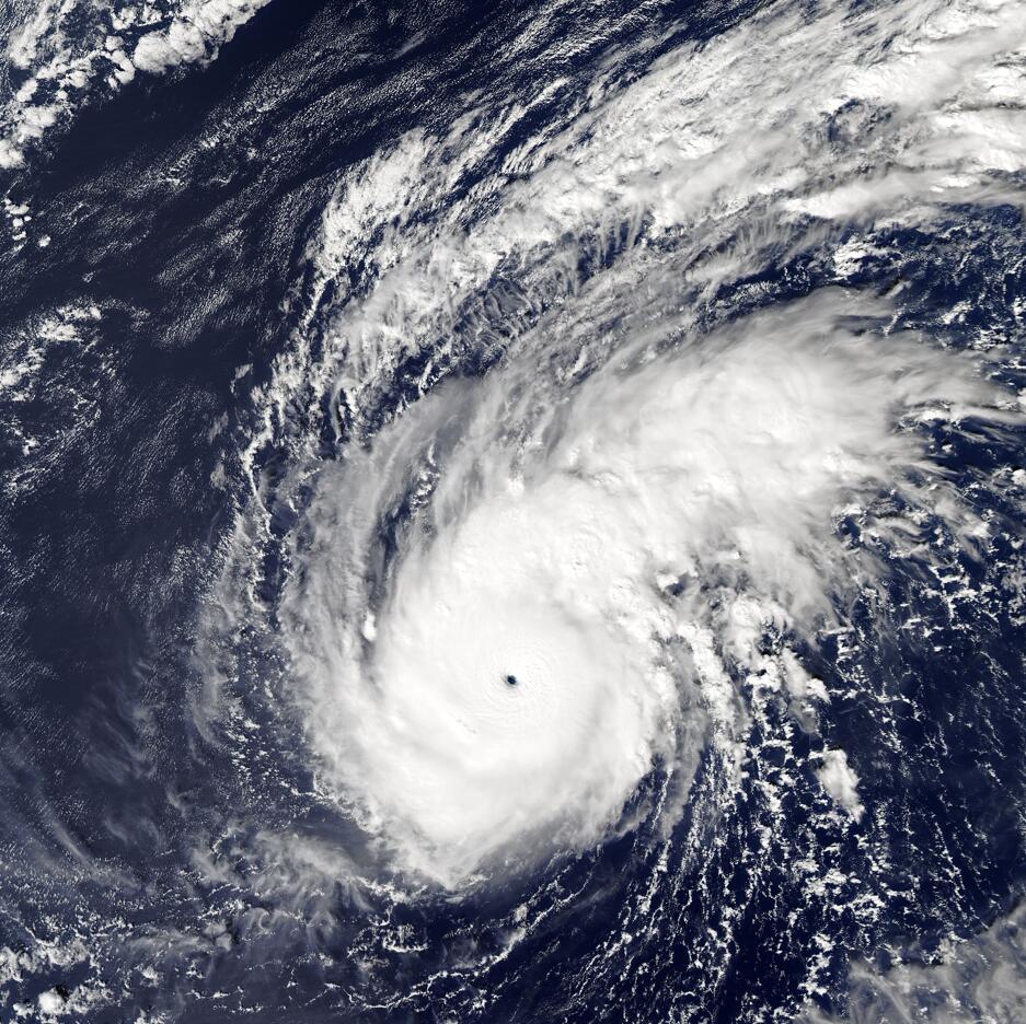  p data-id="gnbwksikt0">超强台风天鹅(英语:super typhoon goni