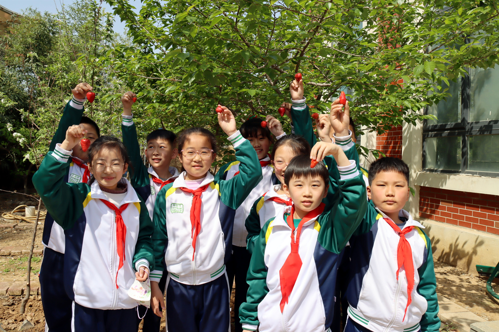 泰安市岱岳区卧虎山小学