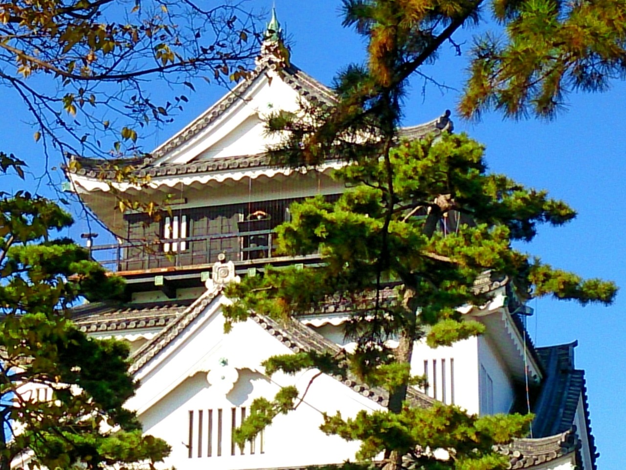  p> b>冈崎城 /b>是位于 a href="#" data-lemmaid="111617">日本 /a>