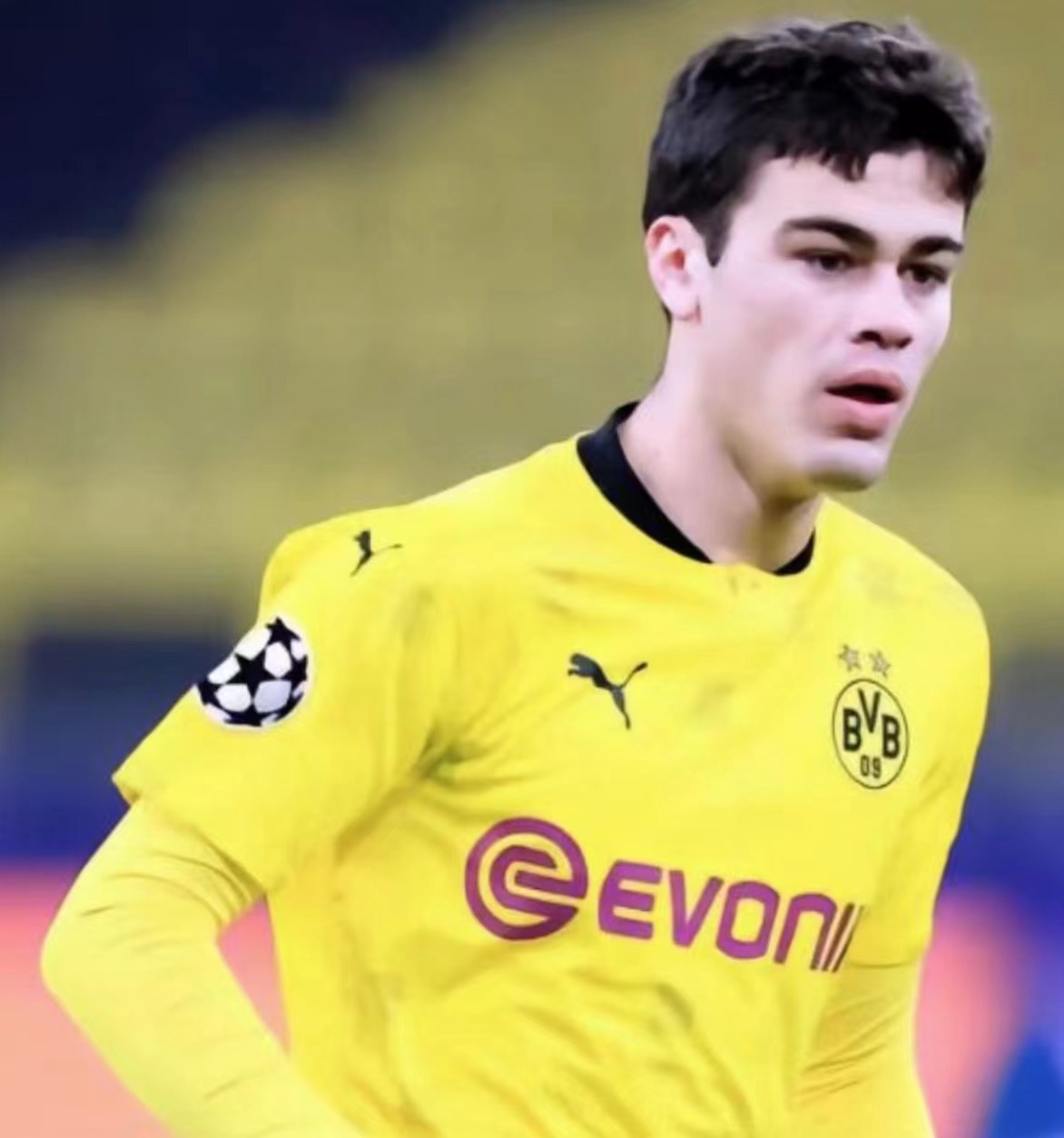  p data-id="gnbhkcwexb">吉奥瓦尼·雷纳(giovanni reyna),全名