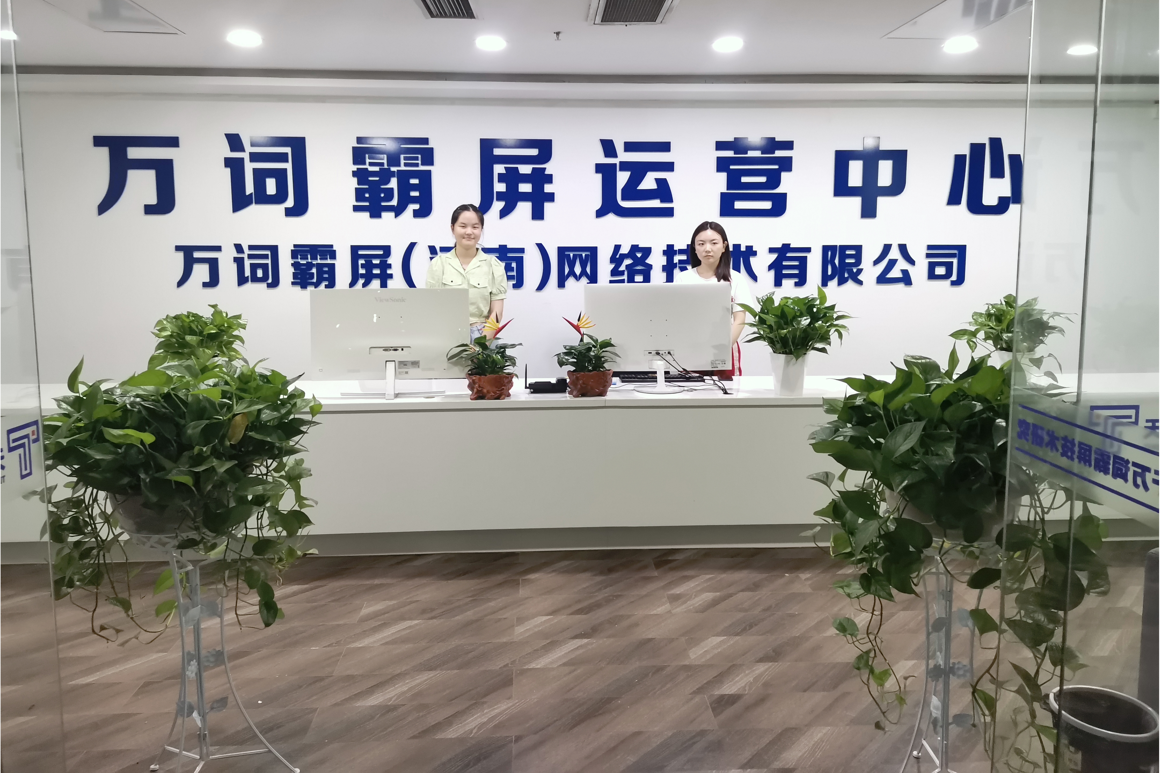 职业系统教育it公司的简单介绍 职业体系
教诲
it公司的简单

先容
（职业体系是什么） IT教育