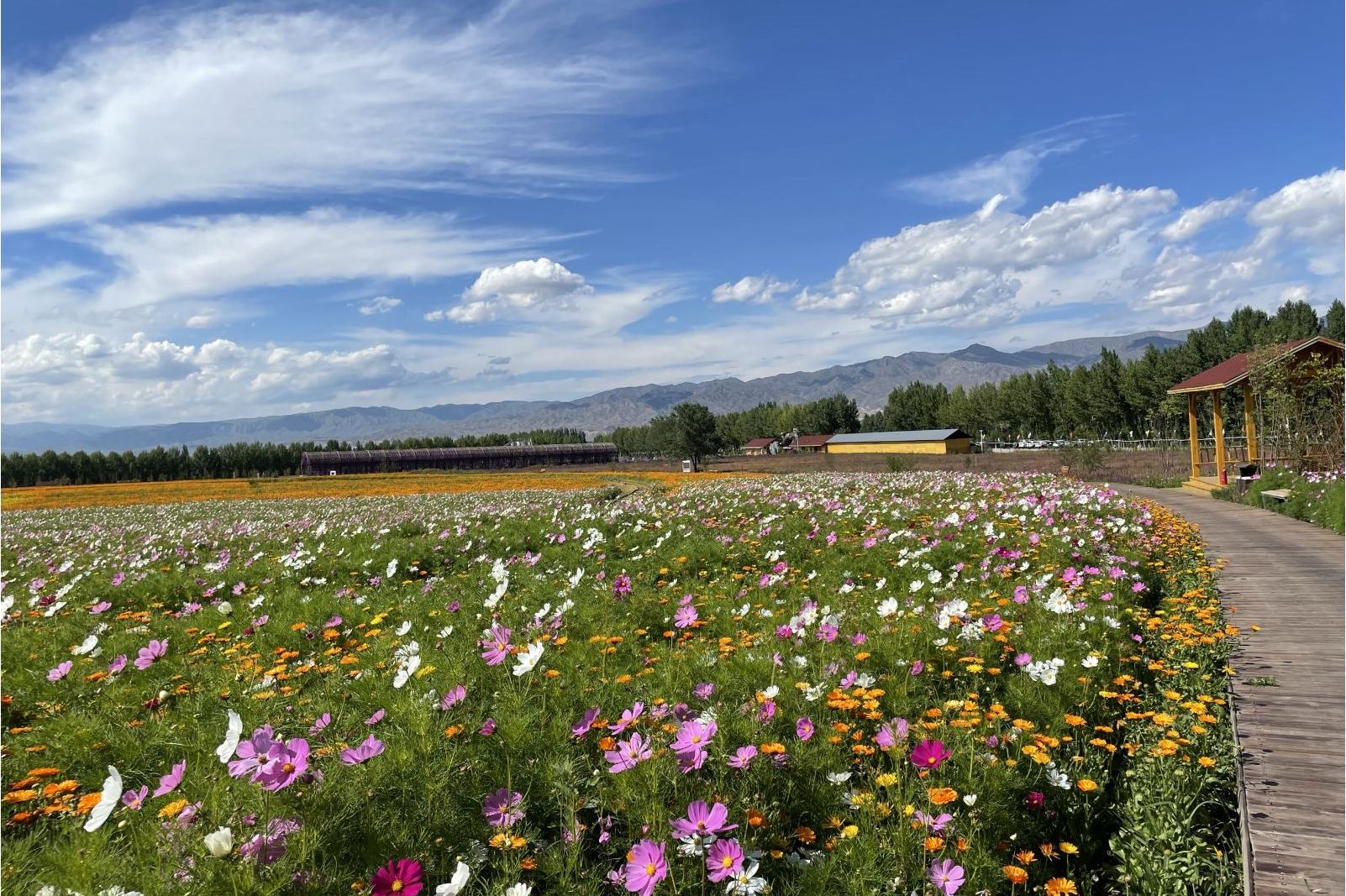  p>花海喀拉峻位于新疆维吾尔自治区伊犁哈萨克自治州特克斯县乔拉克