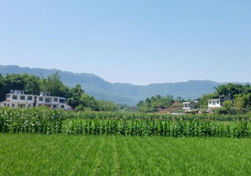  p>底蓬镇(已撤销),原隶属于四川省宜宾市江安县,地处江安县南部,东接