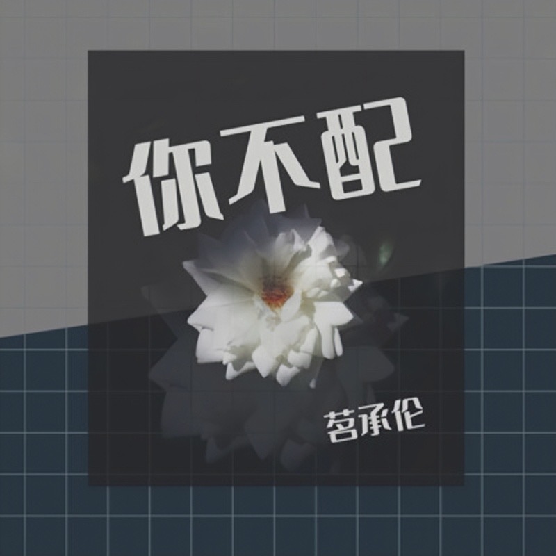 你不配