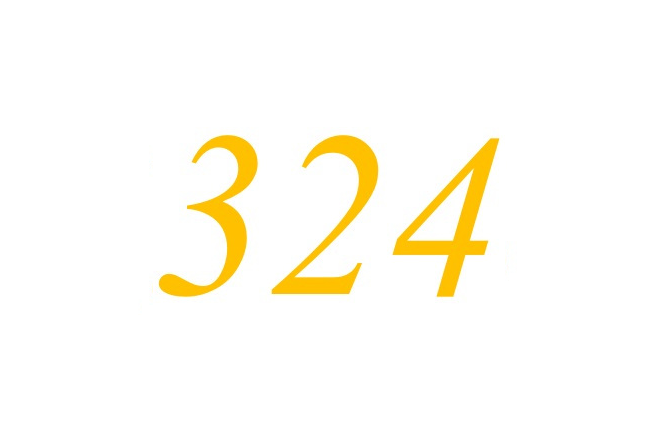 三百二十四