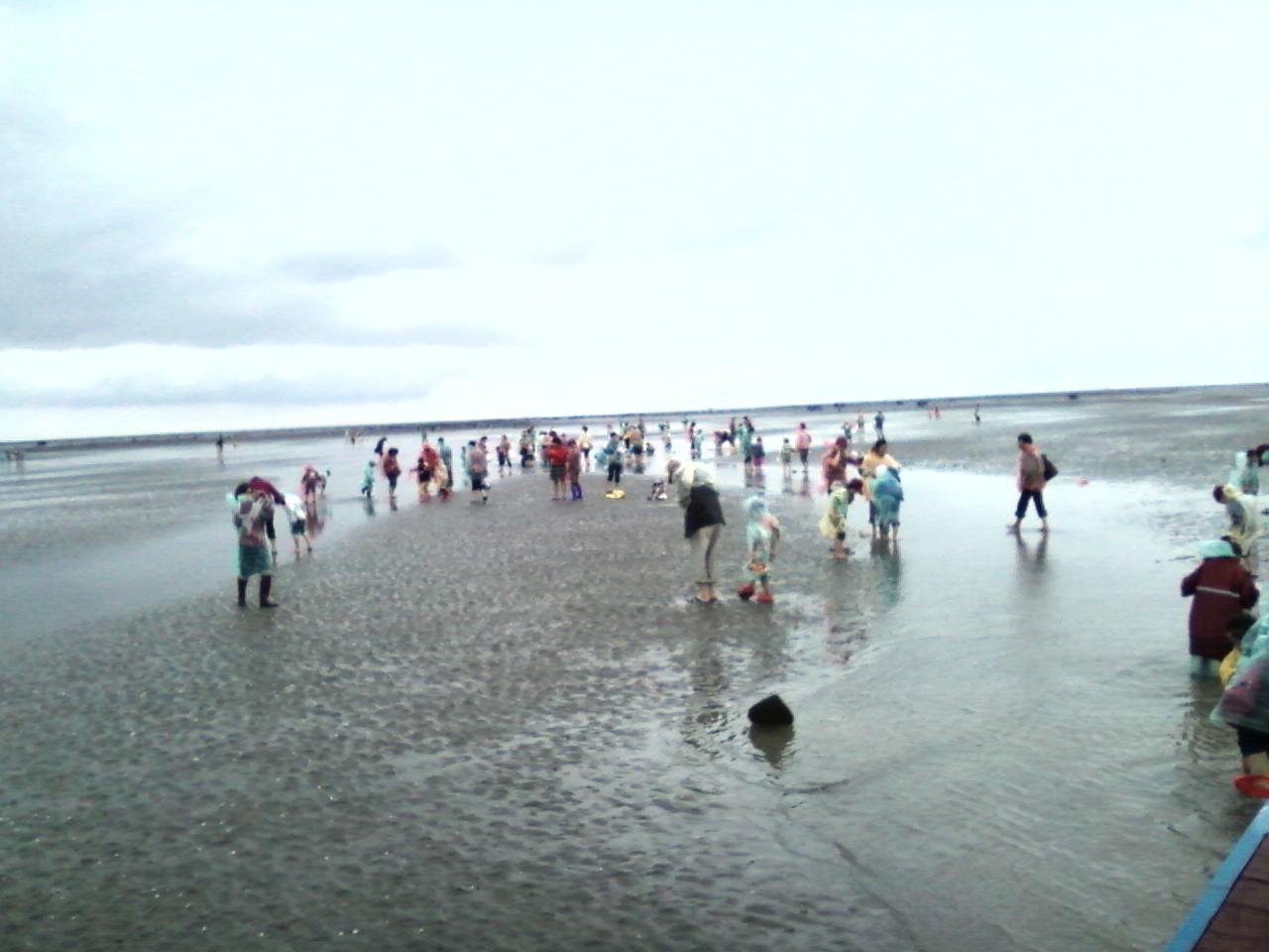 海上迪斯科
