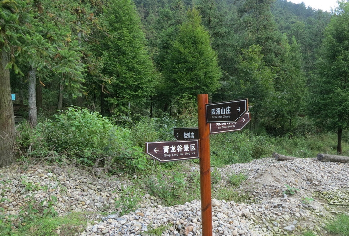 浙江永嘉四海山森林公园