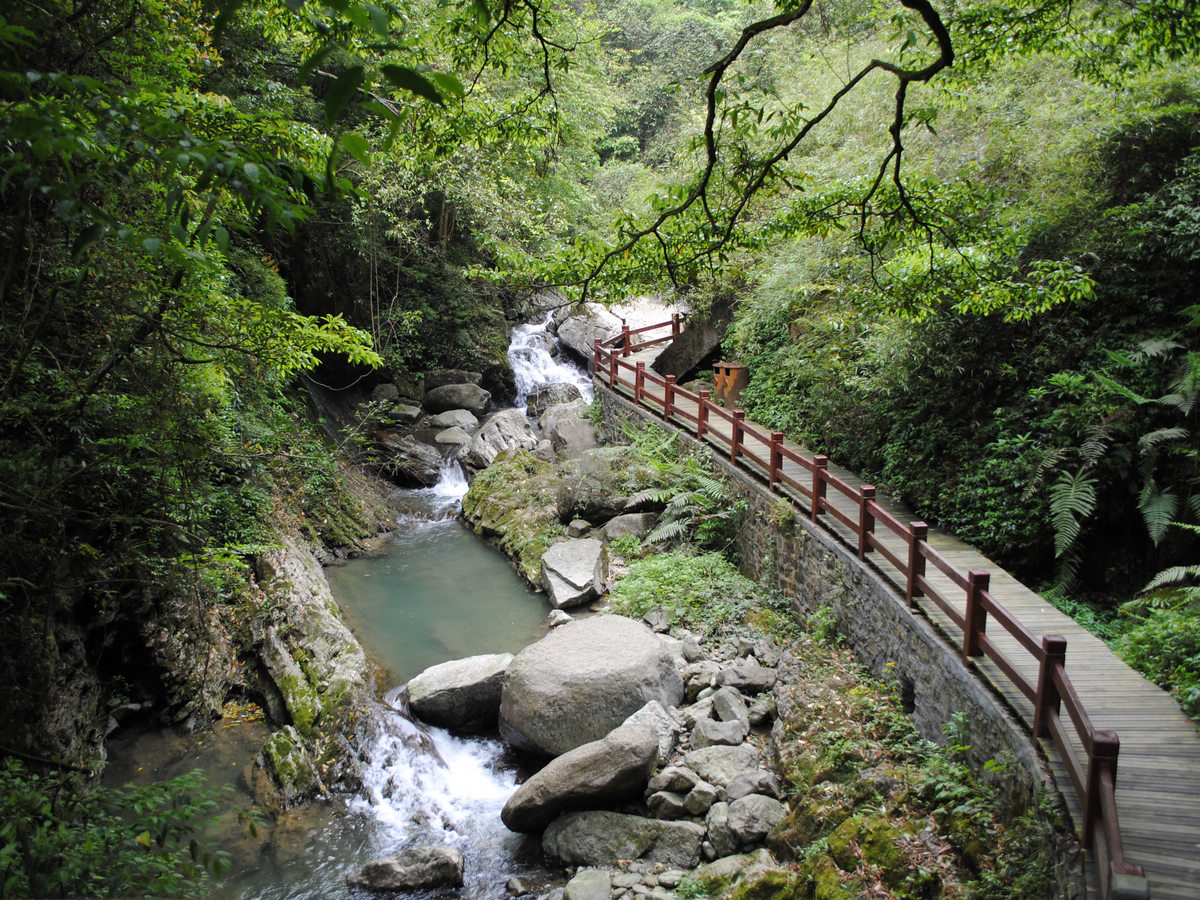 data-lemmaid="978175">金佛山 /a>碧潭幽谷景区植被葱笼,森林覆盖率