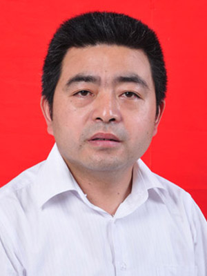 id="gnarof31tx">现任枞阳县政府党组成员,副县长,县水利局党组书记