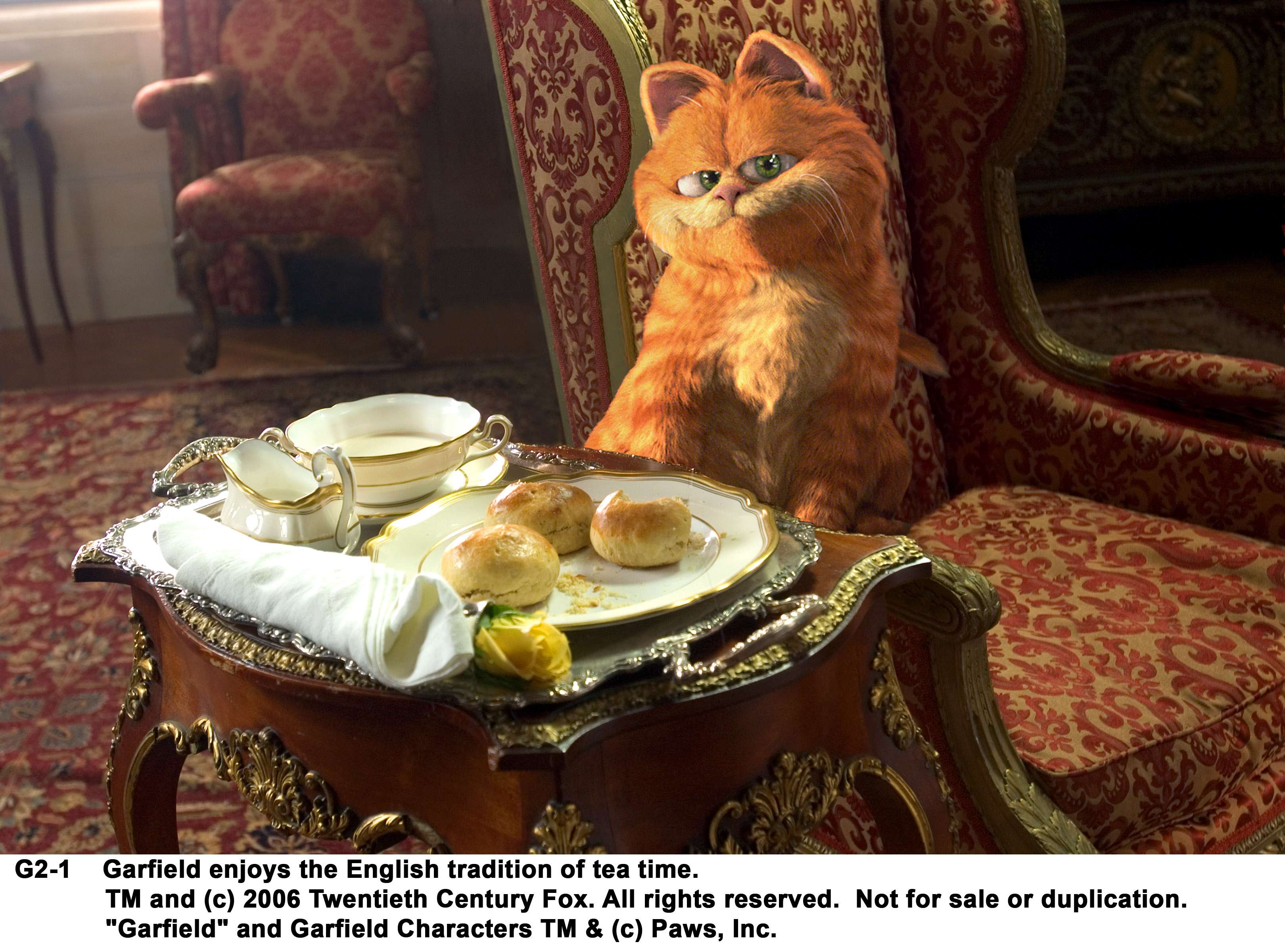 加菲猫2:两只猫的故事